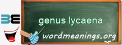 WordMeaning blackboard for genus lycaena